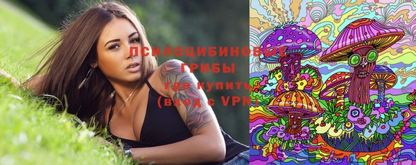 твердый Лиски