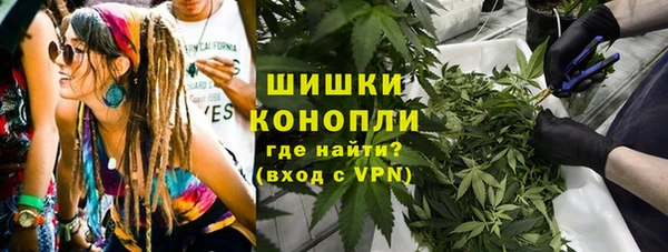 дживик Магас