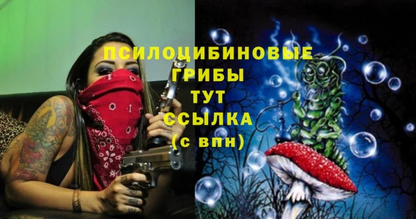 синтетический гашиш Семёнов