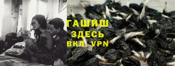 амф Алзамай
