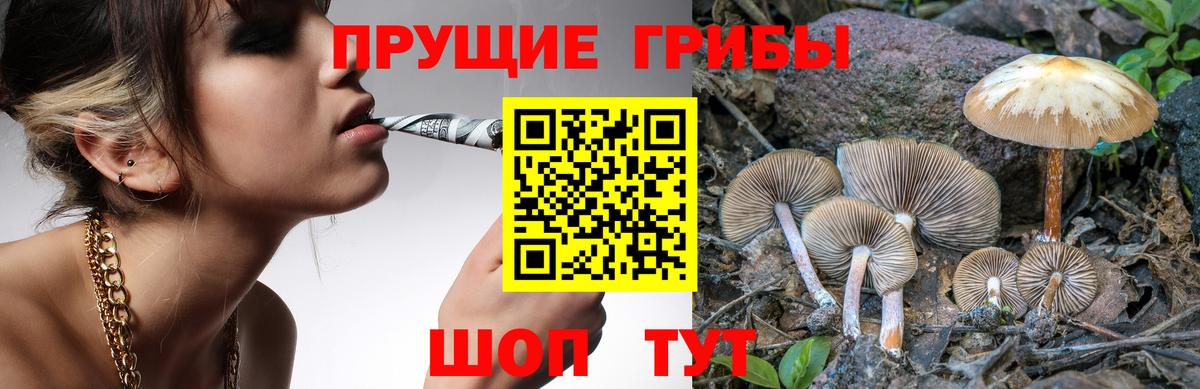 Галлюциногенные грибы прущие грибы  Вход с VPN  Выкса  Галлюциногенные грибы прущие грибы 